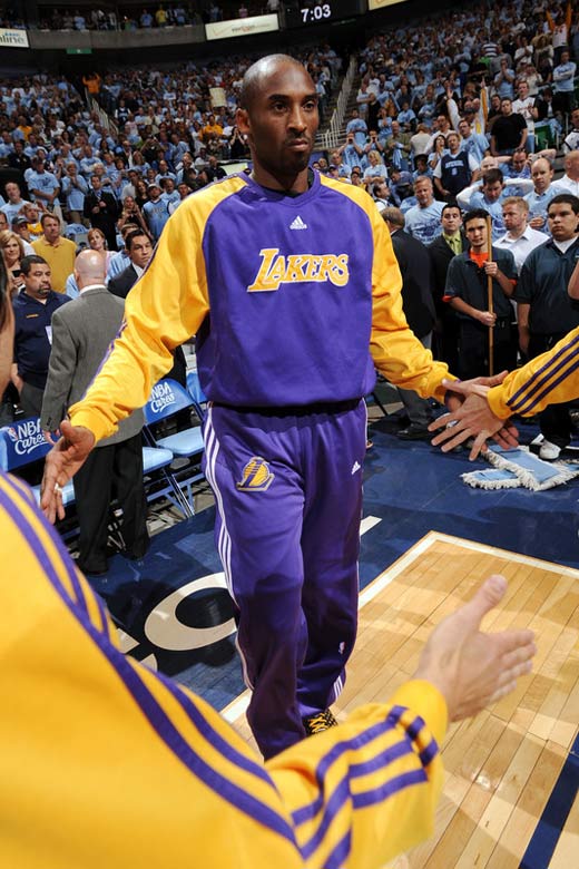 仅对芽笼国 仅对芽笼国