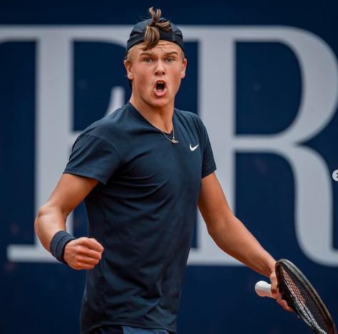 引了媒体的 引了媒体的