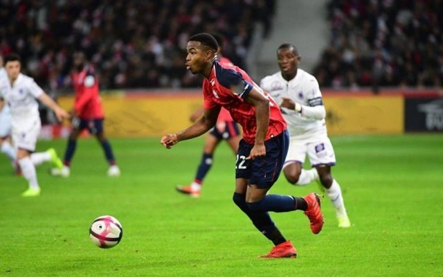 复利路径 复利路径